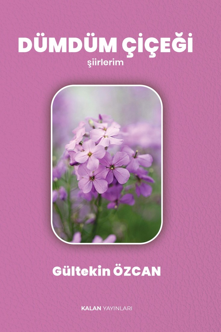 DÜMDÜM ÇİÇEĞİ görsel 1